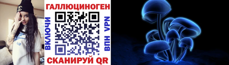 закладка  Иваново  Галлюциногенные грибы Psilocybe 